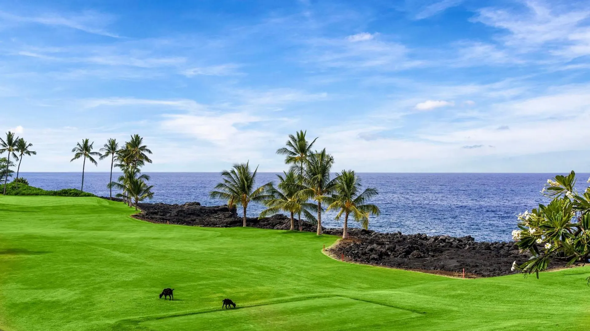 Holua Kai 31 Villa Kailua-Kona Tatil Evi